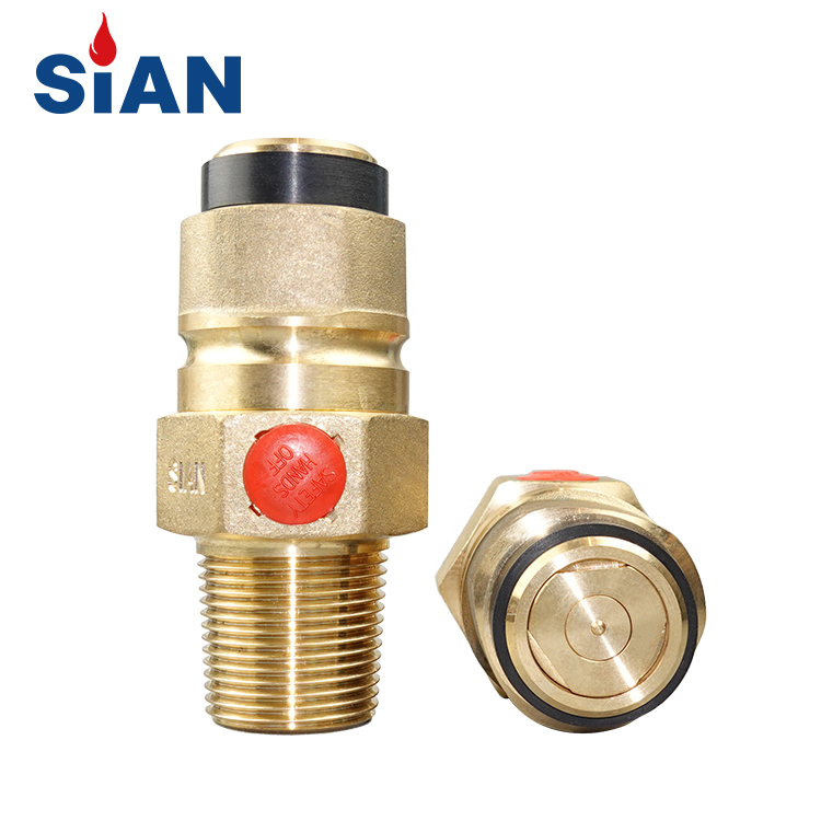D35 (25E) Fabricant de soupape Jumbo Cylindre